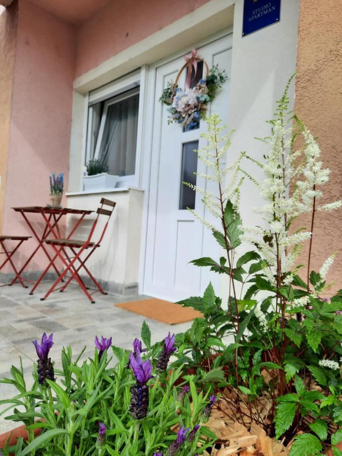 Apartmani Venium Križevci 외부 사진
