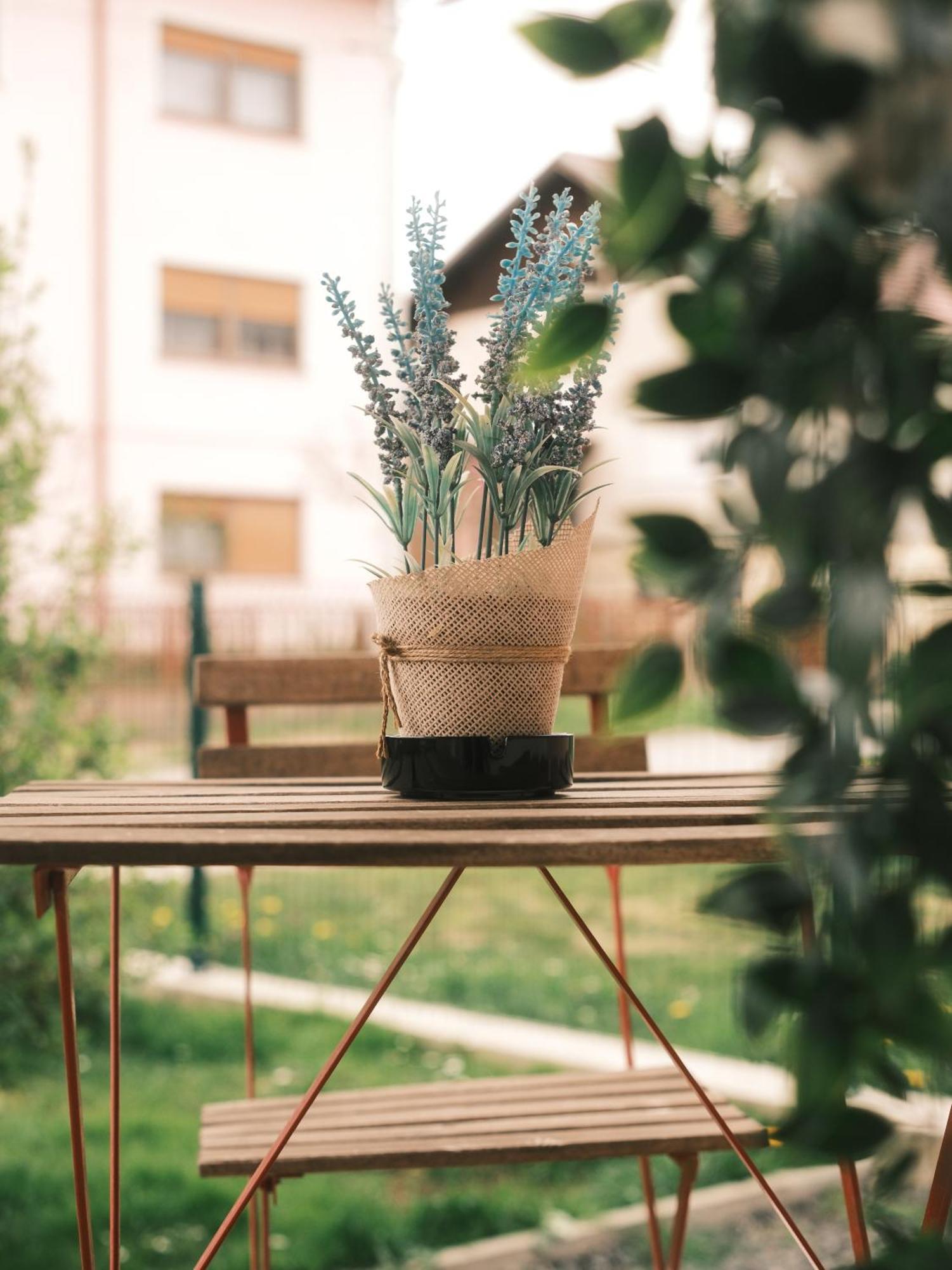 Apartmani Venium Križevci 외부 사진
